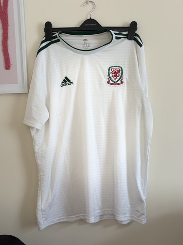 Wales national team 2018 - national, 2018/2019