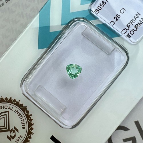 Igi certified paraiba - igi,