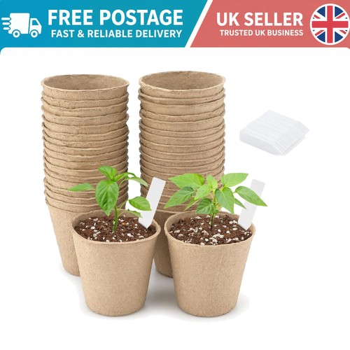 Ecogrow biodegradable seedling - biodegradable,