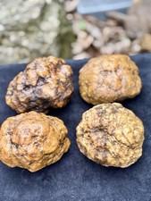 Lot of 4 LARGE Unopened Geodes