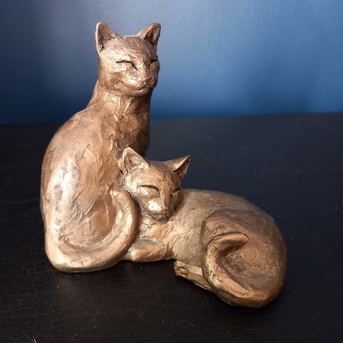 Frith paul jenkins cat - frith,