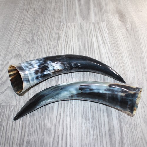 Polished cow horns - polished, #168