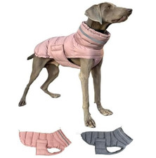 Dog Coat Jacket Job Lot 58 pcs