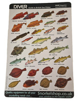 Diver Guide to British Sea