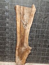 ENGLISH WALNUT SLAB LIVE EDGE KILN DRIED HARDWOOD CRAFT (638) 1160x190-330x30mm