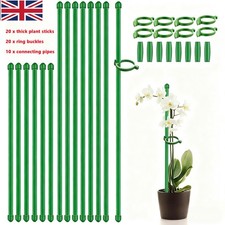 50PCS Plant Support Set Flower