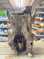 Large corbo root - large, aquarium