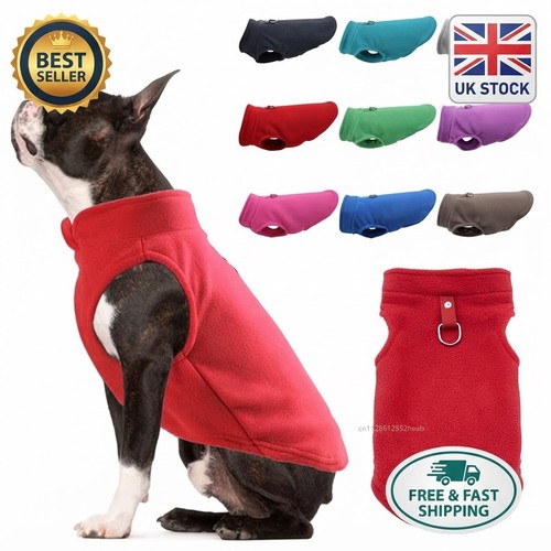 Warm winter dog - warm, clothes