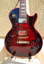 Custom Electric Guitar left