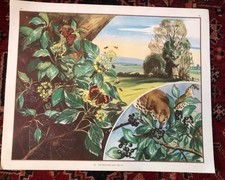 Fabulous Eileen Soper 1950s