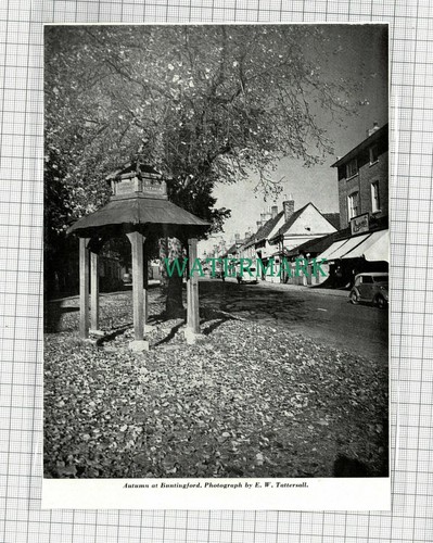 C1808 buntingford - c1808),