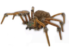 Giant Halloween Spider Green