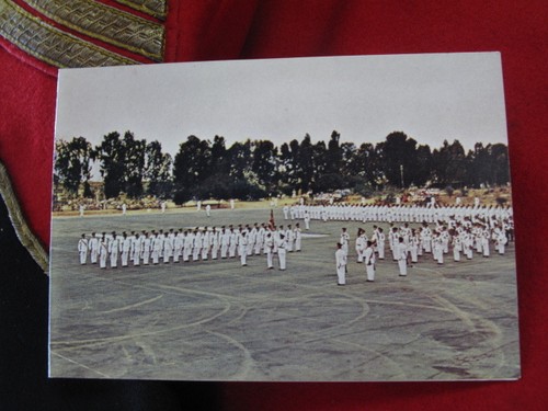 Christmas postcard royal irish - christmas,