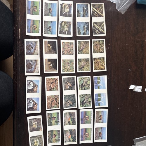 Weetabix viewer cards 60 - cards,