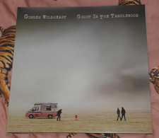 GINGER WILDHEART - GHOST IN