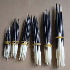 10pcs Porcupine Quills Hair