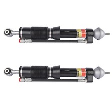 2× Rear Shock Absorber Strut