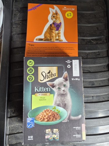Kitten bundle 4 - kitten, bundle.