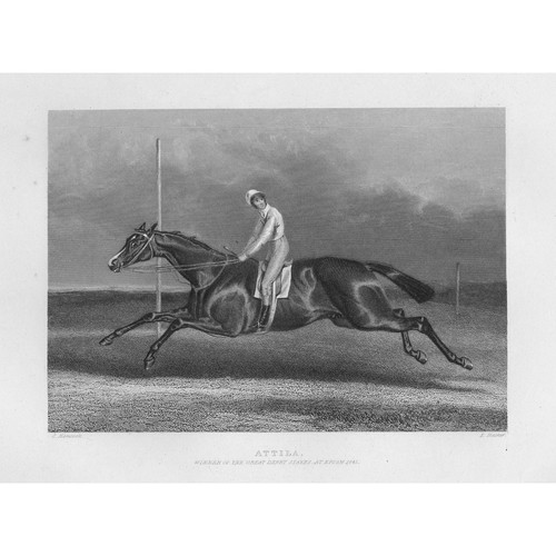 Attila racehorse winner of - winner,