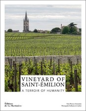 Vineyard of Saint-milion -