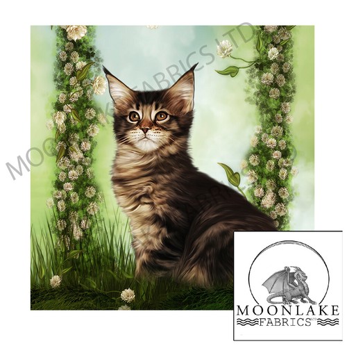 Maine coon kitten floral - coon,