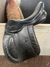 17.5” Pony Cob And Horse