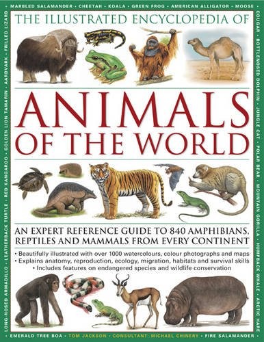 The illustrated encyclopedia - the,