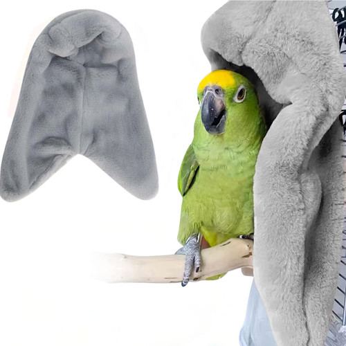 Bird buddy corner - buddy,