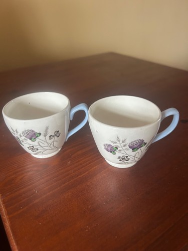 Copeland spode summer days - spode,