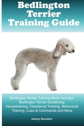 Bedlington terrier training - terrier,
