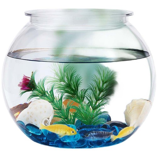 Fish bowl aquarium tank round - fish,
