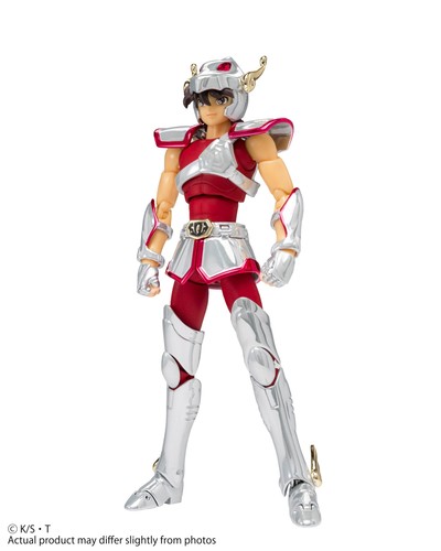 Saint seiya cloth - saint,