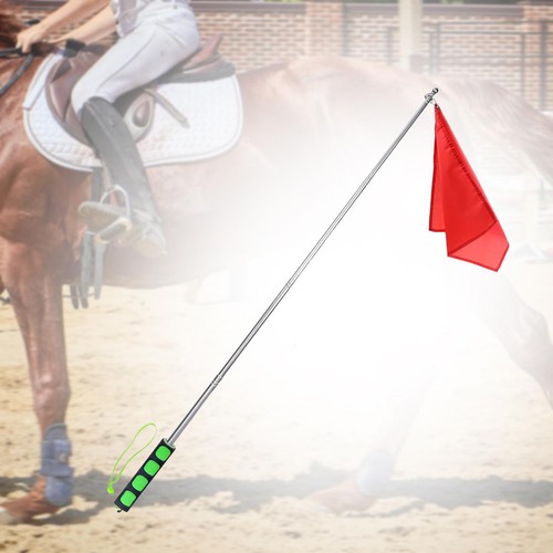 Horse training flag high - horse,