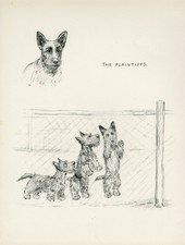 SCOTTISH TERRIER PUPPIES LOVELY VINTAGE 1937 DOG ART PRINT by KF BARKER
