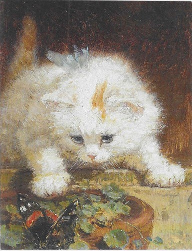 New cats kittens postcard - new,