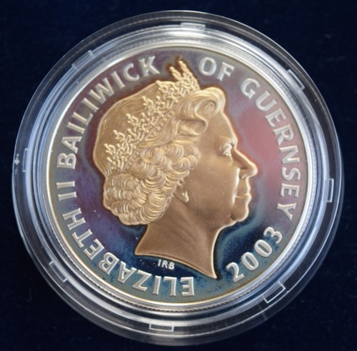 2003 silver proof 28g - 2003,