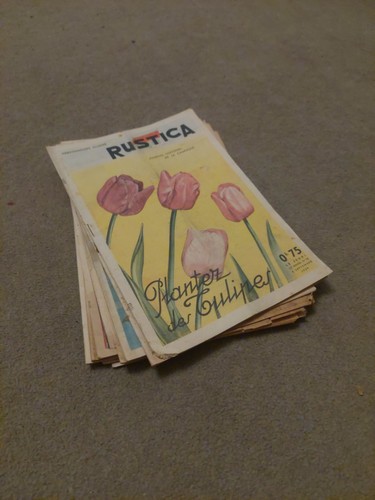 Vintage french rustica - 10,