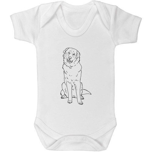 Pyrenean mountain dog baby - mountain,