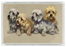 DANDIE DINMONT TERRIER DOG
