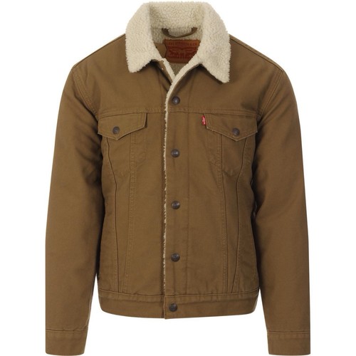 Levi men big tall - big, sherpa