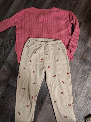 Zara trousers and - pink, sweater
