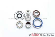 Bearing overhaul kit - overhaul,
