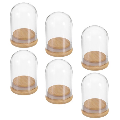 Wood base glass cloche dome - glass,