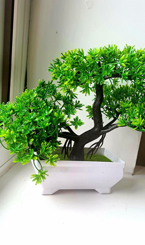 Artificial bonsai tree - artificial,