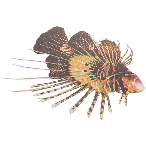 Metal fish decor - ,