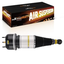 Rear Air Ride Suspension Strut