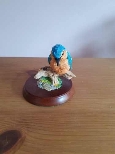 Border fine arts - fine, kingfisher