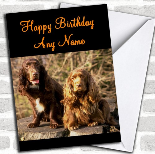 Field spaniel dogs - dogs, birthday