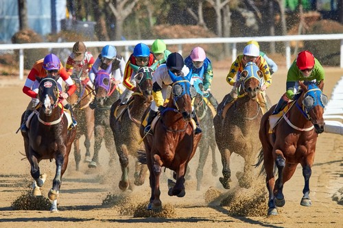 Horse race lay - horse, low