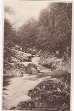 On The River Calder